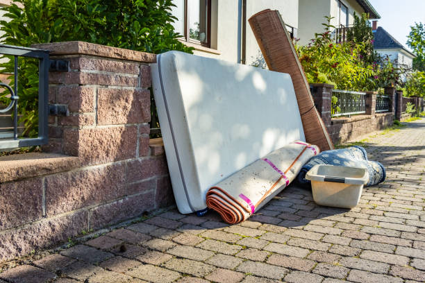 Best Shed Removal  in Horace, ND